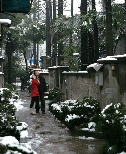 上海最浪漫的4条小马路 上海最浪漫的4条小马路